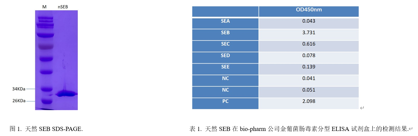 金葡菌腸毒素SEB.png